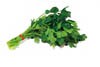 Italian Parsley